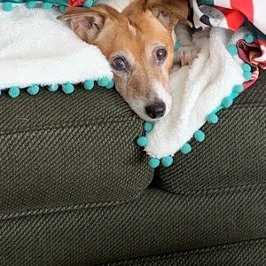 Meet your Posher, Debbie